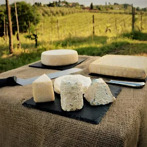agriturismo-fattoria-le-caprine.it-tuscanyhotel.com/